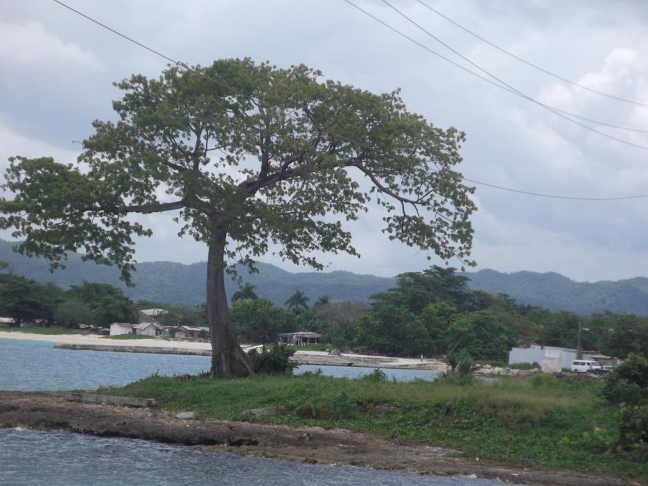Name:  DSCF1781.jpg
Views: 875
Size:  93.4 KB