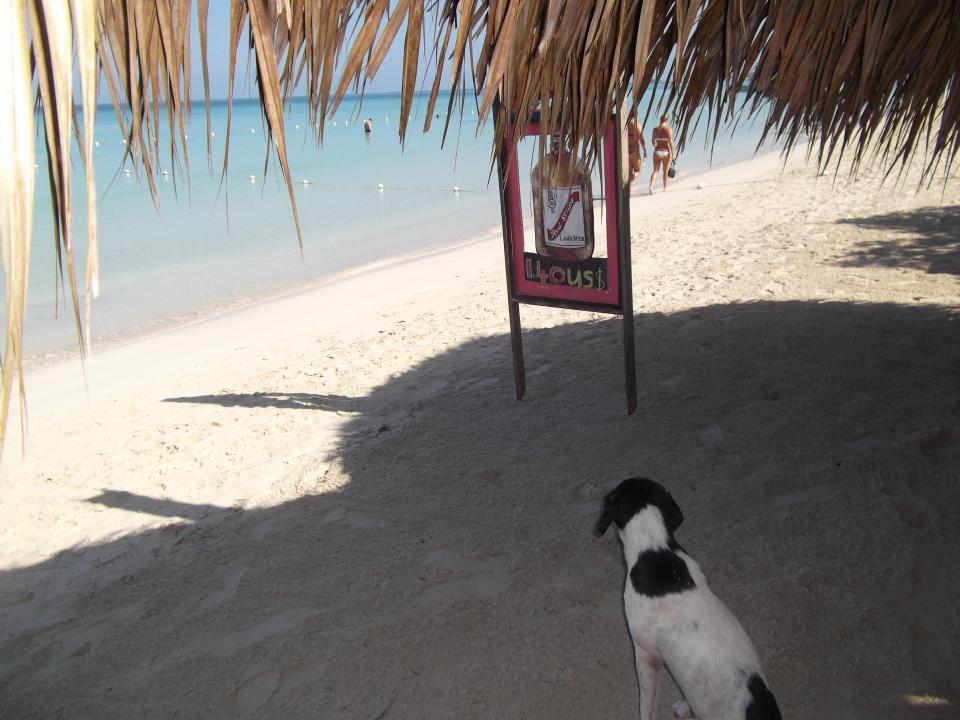 Name:  DSCF1849.jpg
Views: 848
Size:  93.7 KB