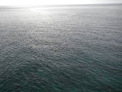 Click image for larger version. 

Name:	Jamaica 2010 photos (472).jpg 
Views:	464 
Size:	41.4 KB 
ID:	3636