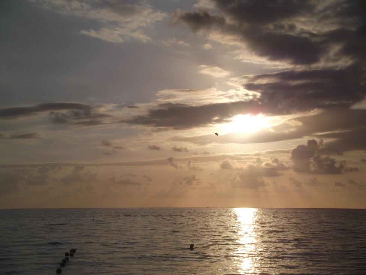 Name:  DSCF1915.jpg
Views: 628
Size:  86.2 KB