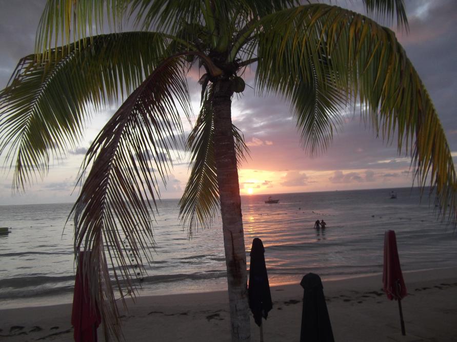 Name:  DSCF1966.jpg
Views: 643
Size:  95.3 KB