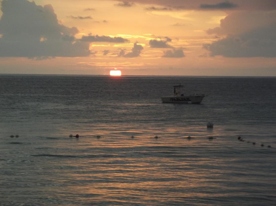 Name:  DSCF1972.jpg
Views: 638
Size:  88.1 KB