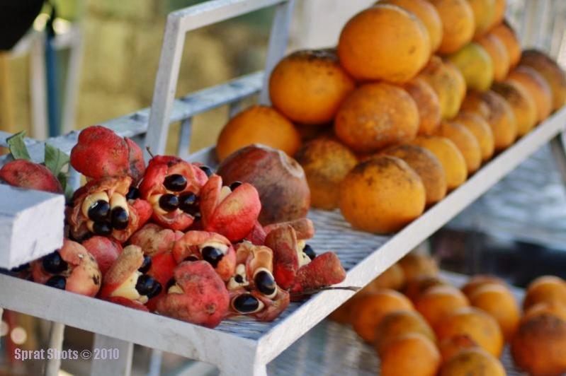 Name:  Ackee.jpg
Views: 880
Size:  53.8 KB