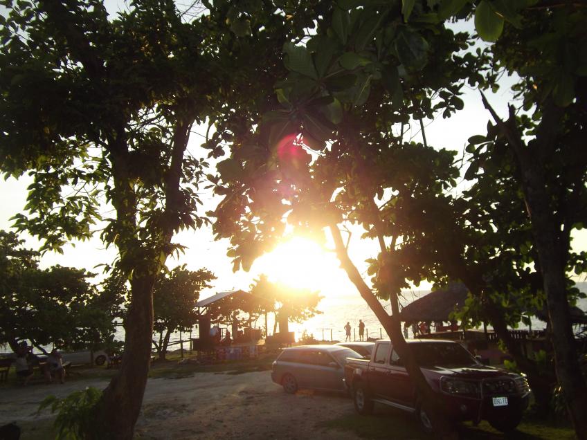 Name:  DSCF1995.jpg
Views: 817
Size:  96.0 KB