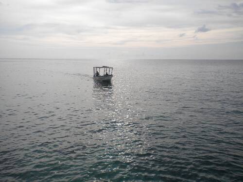 Name:  Jamaica 2010 photos (481).jpg
Views: 460
Size:  28.4 KB