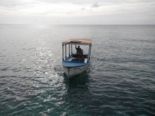 Name:  Jamaica 2010 photos (482).jpg
Views: 457
Size:  29.8 KB