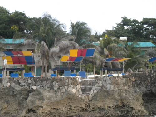 Name:  Jamaica 2010 photos (514).jpg
Views: 421
Size:  34.6 KB