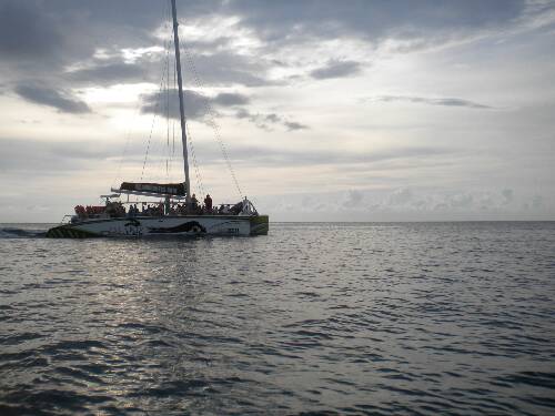Name:  Jamaica 2010 photos (518).jpg
Views: 425
Size:  30.9 KB