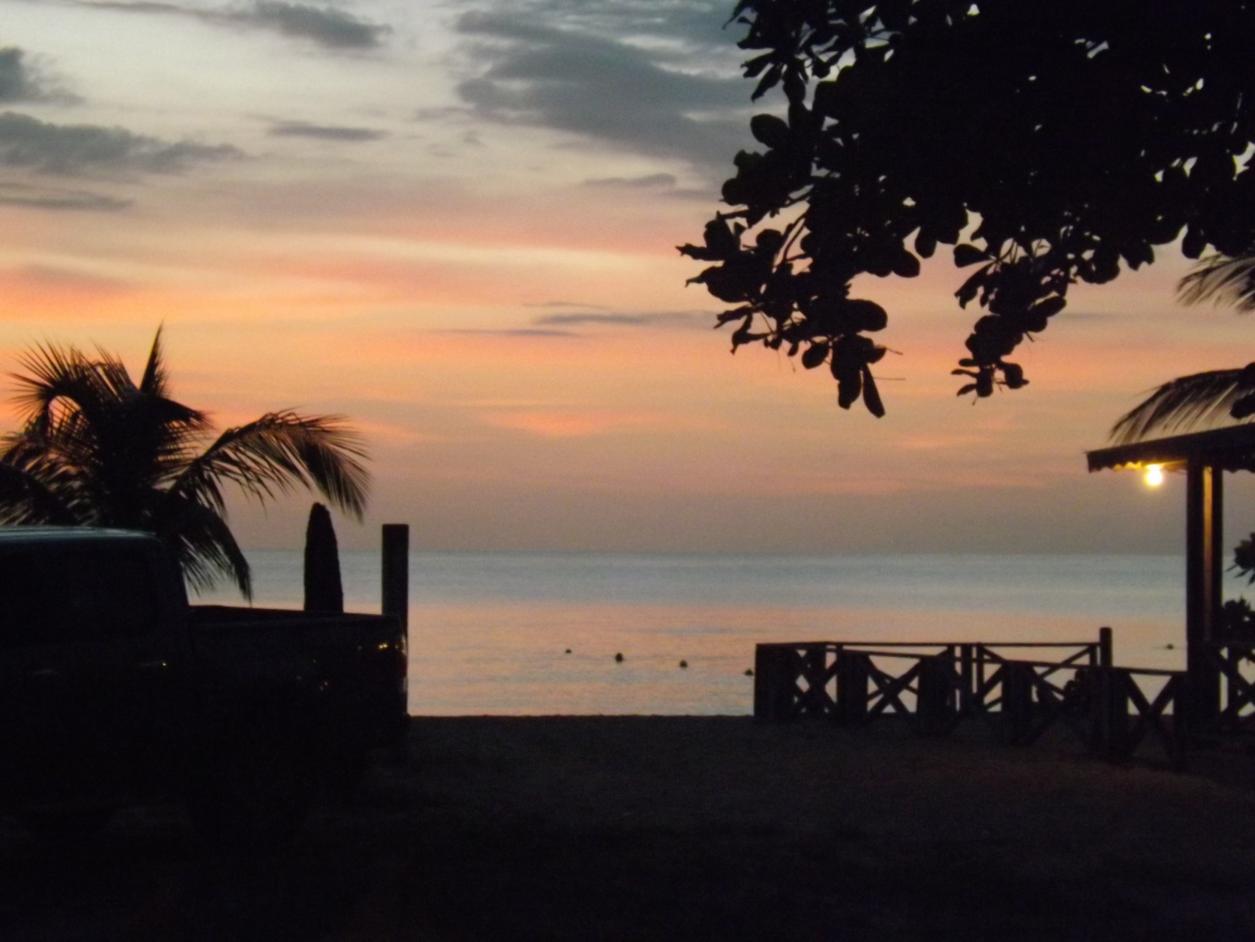 Name:  DSCF2025.jpg
Views: 740
Size:  83.7 KB