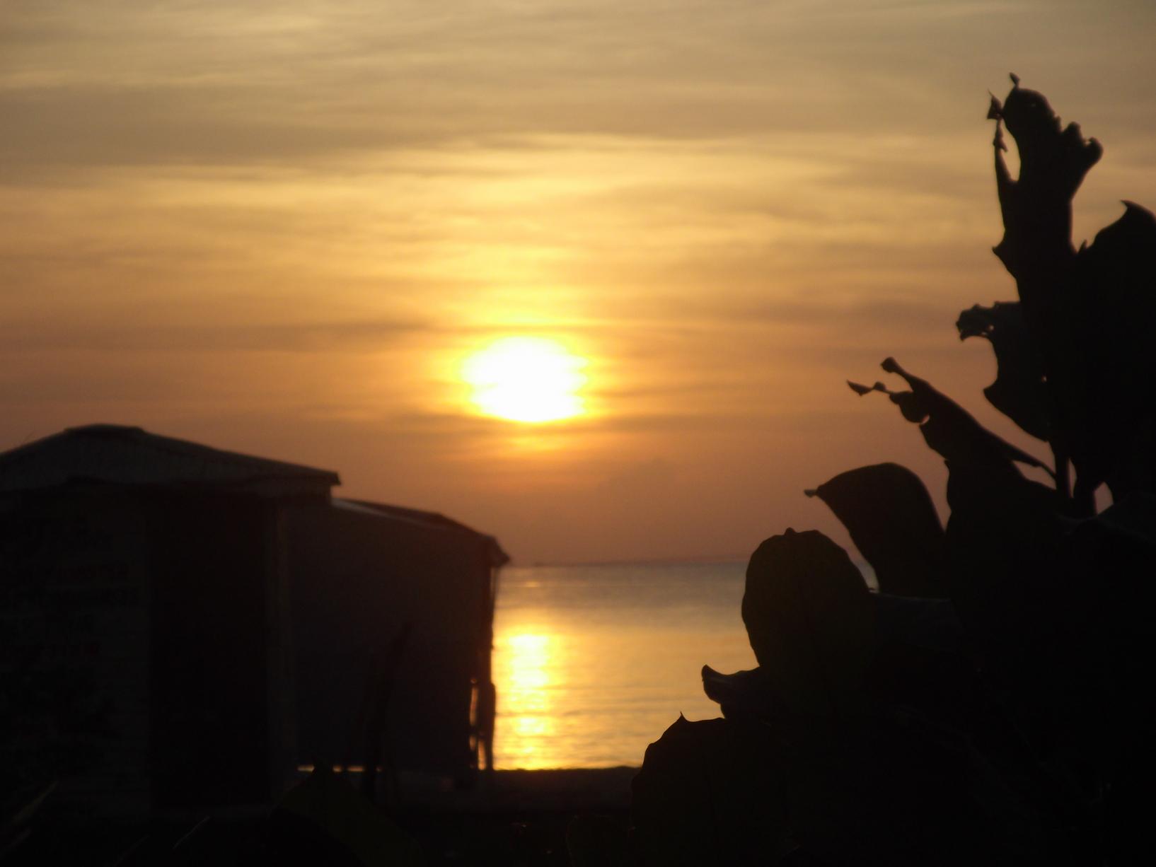 Name:  DSCF2136.jpg
Views: 737
Size:  72.7 KB