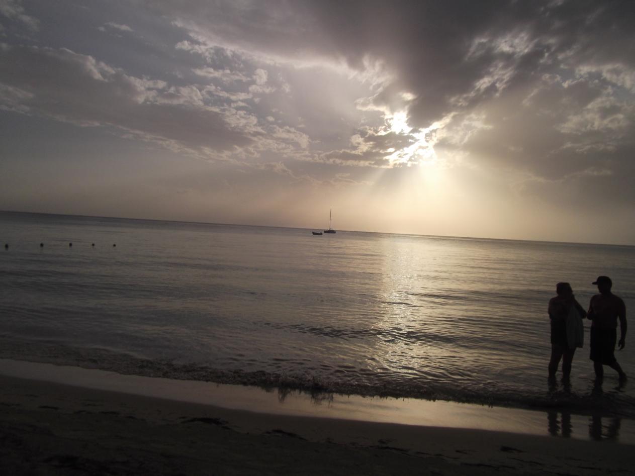 Name:  DSCF2231.jpg
Views: 804
Size:  83.2 KB