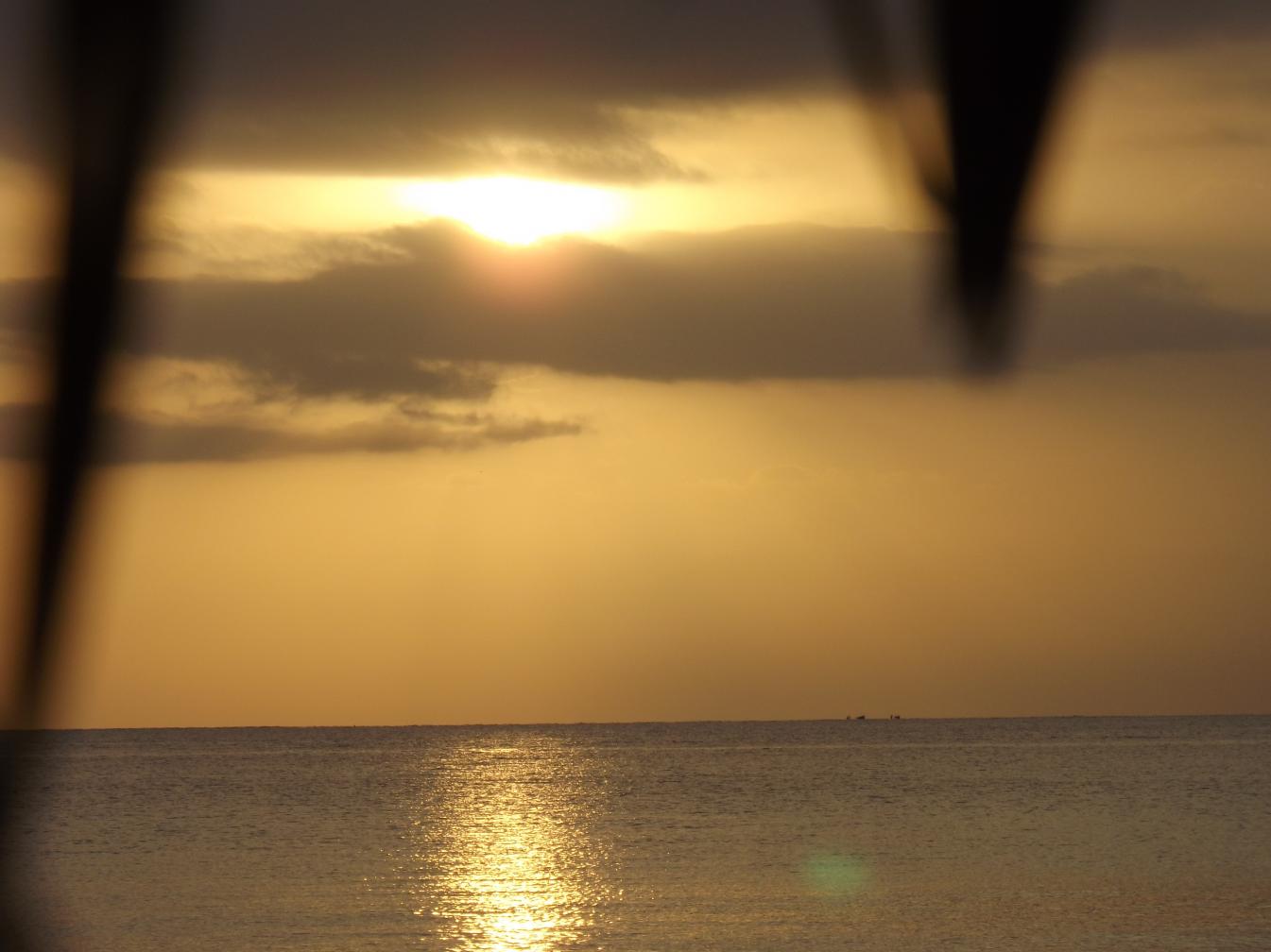 Name:  DSCF2090.jpg
Views: 787
Size:  86.2 KB