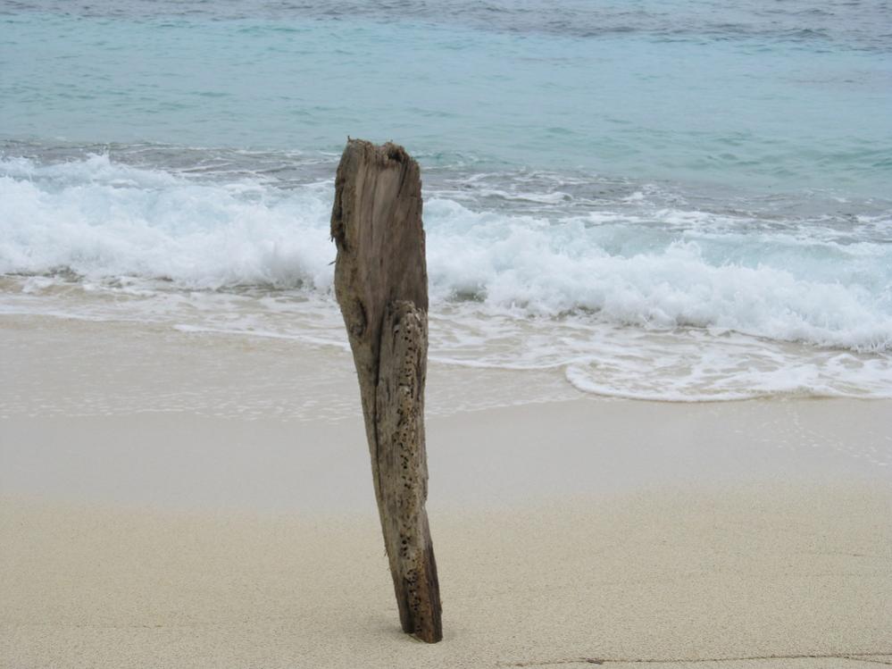 Name:  3 beach stick.jpg
Views: 933
Size:  72.4 KB