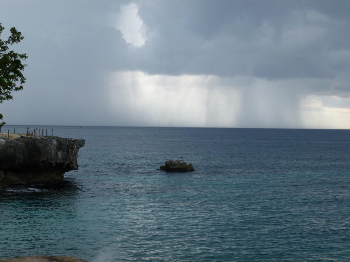 Name:  P1000095.jpg
Views: 365
Size:  91.2 KB