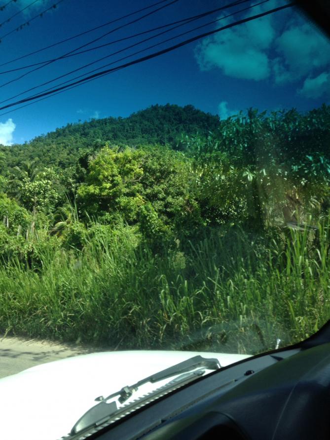 Name:  image.jpg
Views: 1333
Size:  95.1 KB