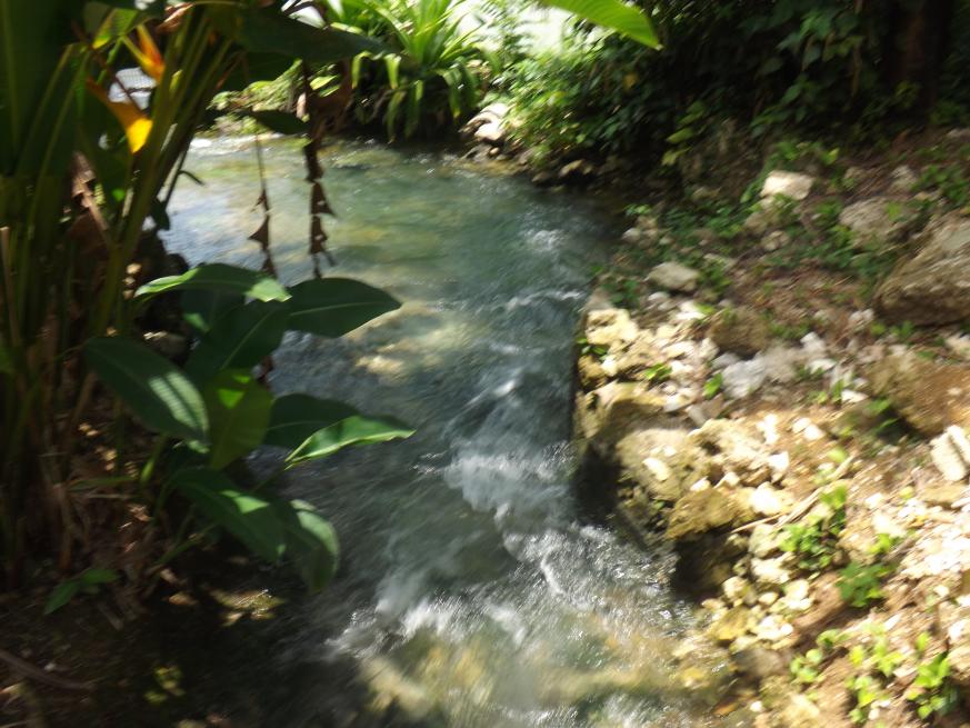 Name:  DSCF2683.jpg
Views: 810
Size:  95.2 KB