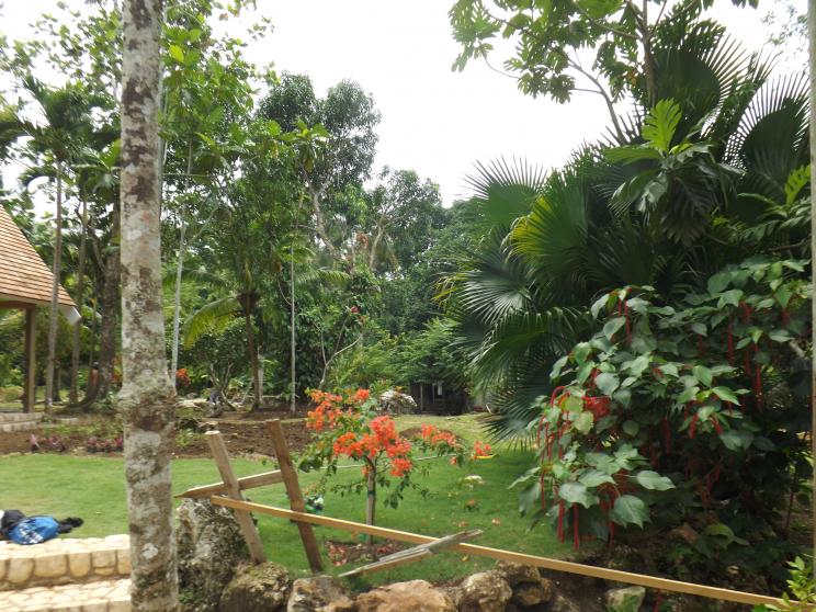 Name:  DSCF2715.jpg
Views: 760
Size:  99.7 KB