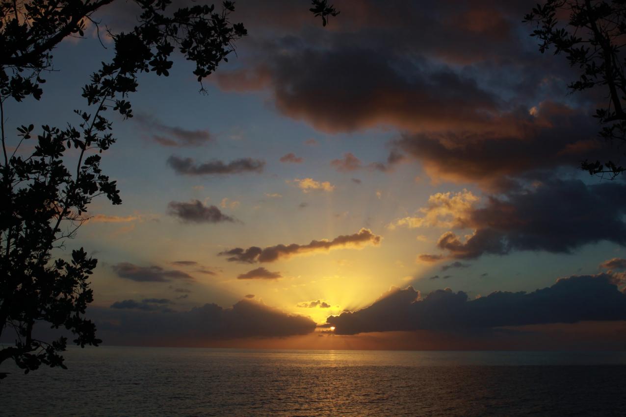 Name:  IMG_2549.jpg
Views: 1006
Size:  86.2 KB