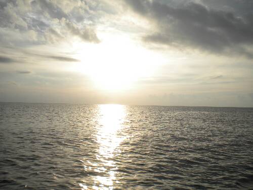 Name:  Jamaica 2010 photos (579).jpg
Views: 393
Size:  28.6 KB