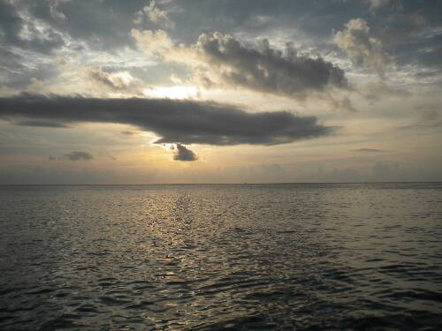 Name:  Jamaica 2010 photos (587).jpg
Views: 365
Size:  28.3 KB