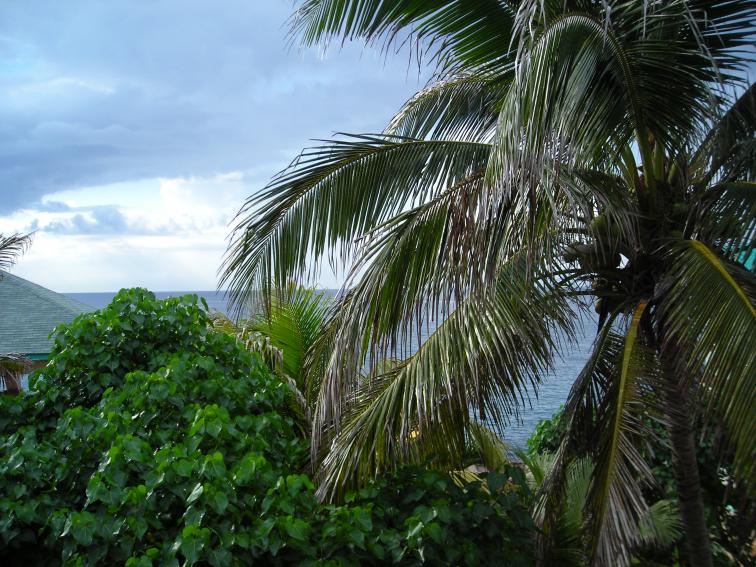 Name:  DSCN0385.jpg
Views: 570
Size:  99.0 KB