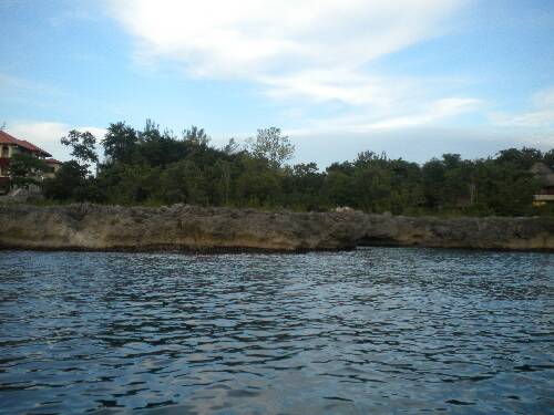 Name:  Jamaica 2010 photos (596).jpg
Views: 367
Size:  32.8 KB