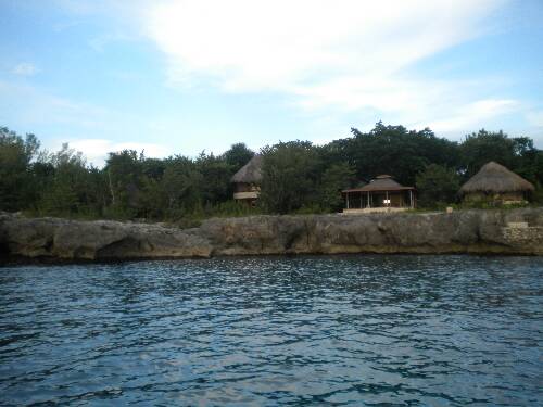 Name:  Jamaica 2010 photos (598).jpg
Views: 374
Size:  31.2 KB