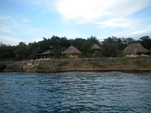 Name:  Jamaica 2010 photos (600).jpg
Views: 358
Size:  30.9 KB