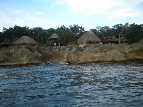 Name:  Jamaica 2010 photos (601).jpg
Views: 374
Size:  33.8 KB