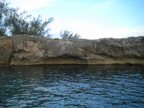 Name:  Jamaica 2010 photos (606).jpg
Views: 360
Size:  35.6 KB