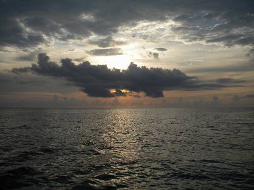 Name:  Jamaica 2010 photos (610).jpg
Views: 363
Size:  28.8 KB