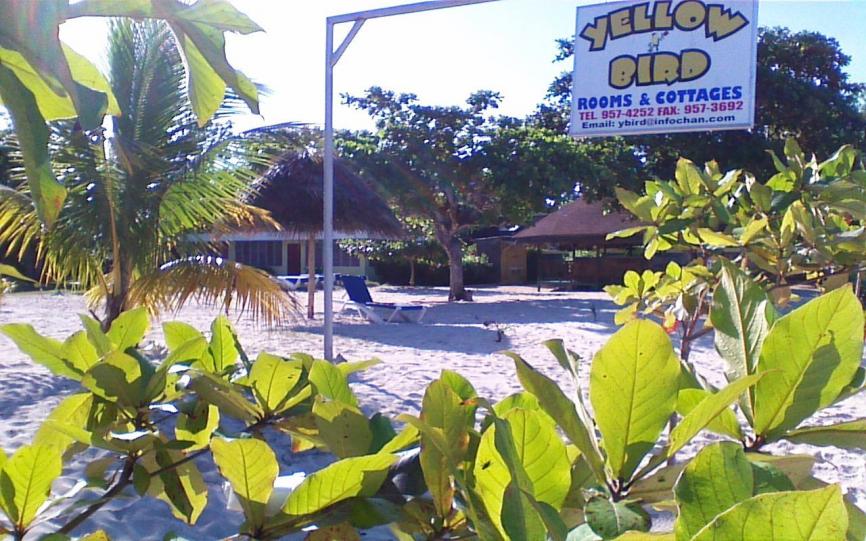 Name:  2013 Gazebo.jpg
Views: 112
Size:  104.8 KB