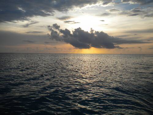 Name:  Jamaica 2010 photos (614).jpg
Views: 376
Size:  34.3 KB