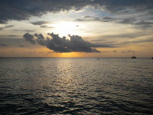 Name:  Jamaica 2010 photos (626).jpg
Views: 420
Size:  33.1 KB