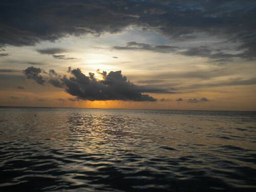 Name:  Jamaica 2010 photos (630).jpg
Views: 418
Size:  26.3 KB