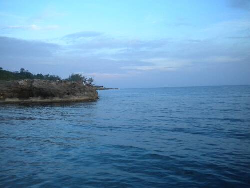 Name:  Jamaica 2010 photos (653).jpg
Views: 397
Size:  20.9 KB