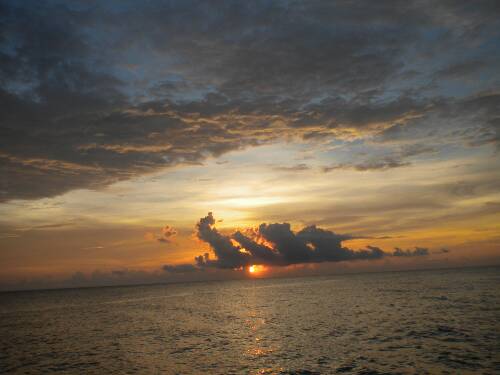 Name:  Jamaica 2010 photos (662).jpg
Views: 405
Size:  23.0 KB