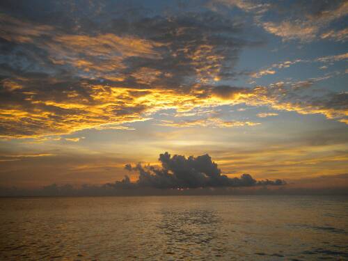 Name:  Jamaica 2010 photos (671).jpg
Views: 387
Size:  27.1 KB