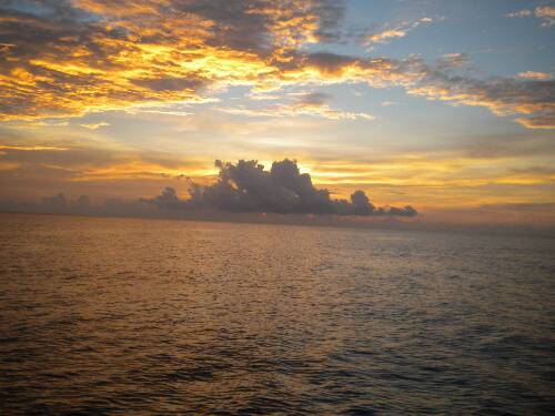 Name:  Jamaica 2010 photos (680).jpg
Views: 385
Size:  31.0 KB