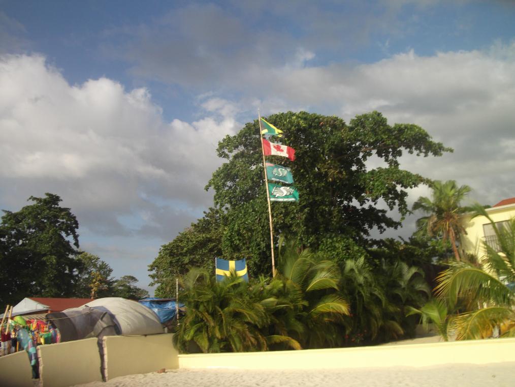 Name:  DSCF2408.jpg
Views: 638
Size:  90.5 KB