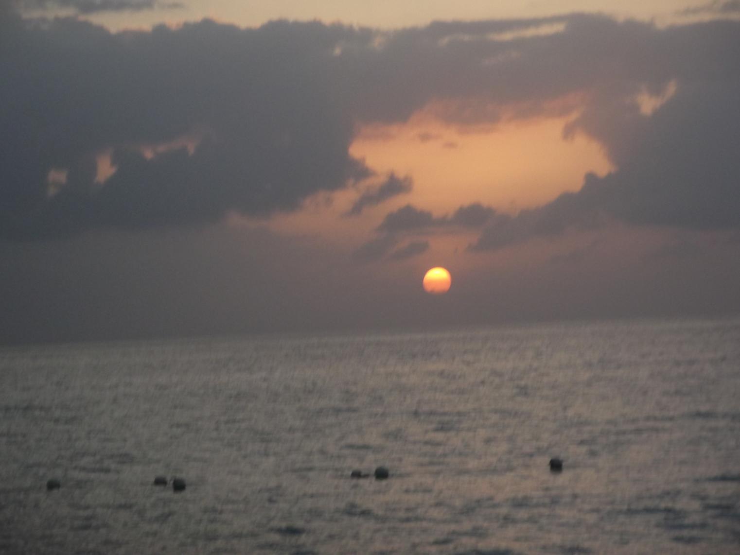 Name:  DSCF2442.jpg
Views: 635
Size:  81.1 KB