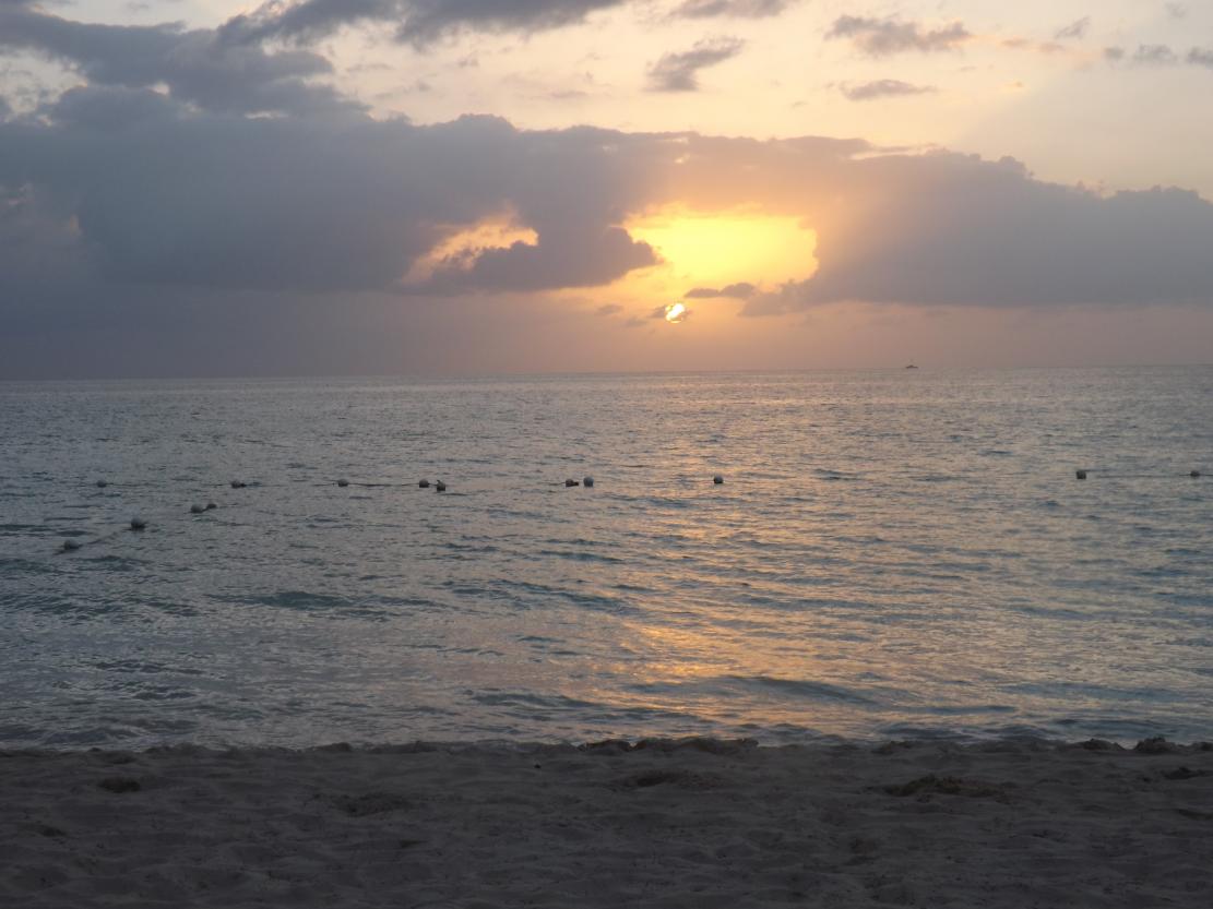 Name:  DSCF3001.jpg
Views: 636
Size:  90.9 KB