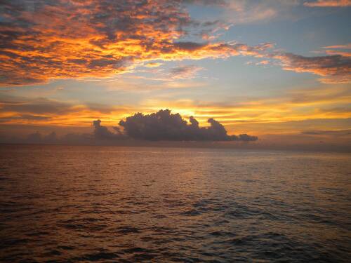 Name:  Jamaica 2010 photos (694).jpg
Views: 380
Size:  29.8 KB