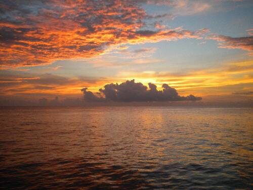 Name:  Jamaica 2010 photos (699).jpg
Views: 363
Size:  29.7 KB