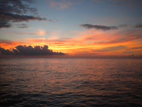 Name:  Jamaica 2010 photos (712).jpg
Views: 379
Size:  24.2 KB