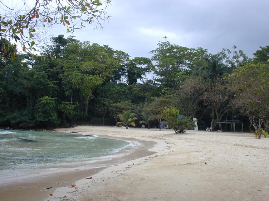 Name:  DSCN0018.jpg
Views: 1169
Size:  96.3 KB