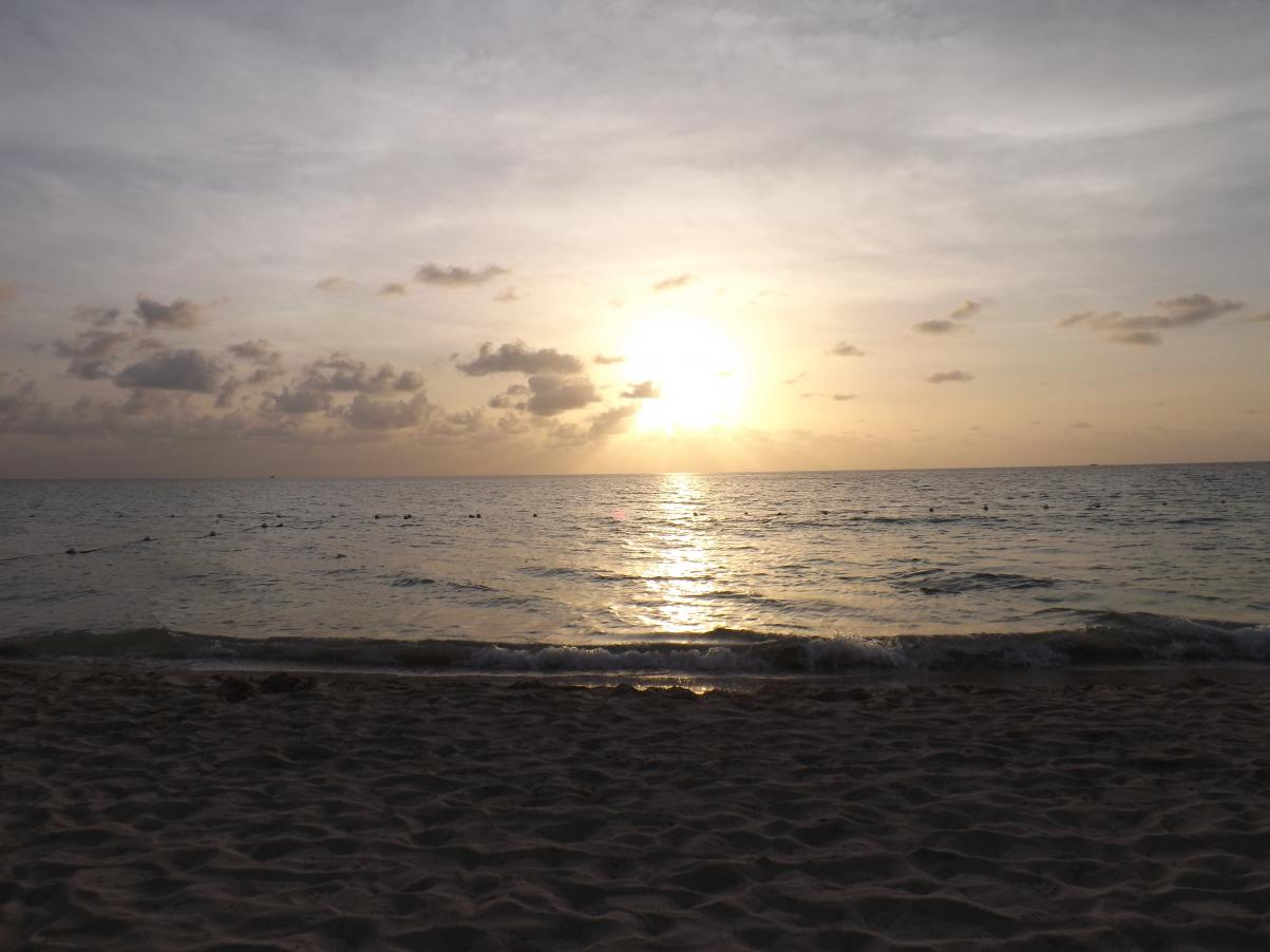 Name:  DSCF3131.jpg
Views: 550
Size:  87.6 KB