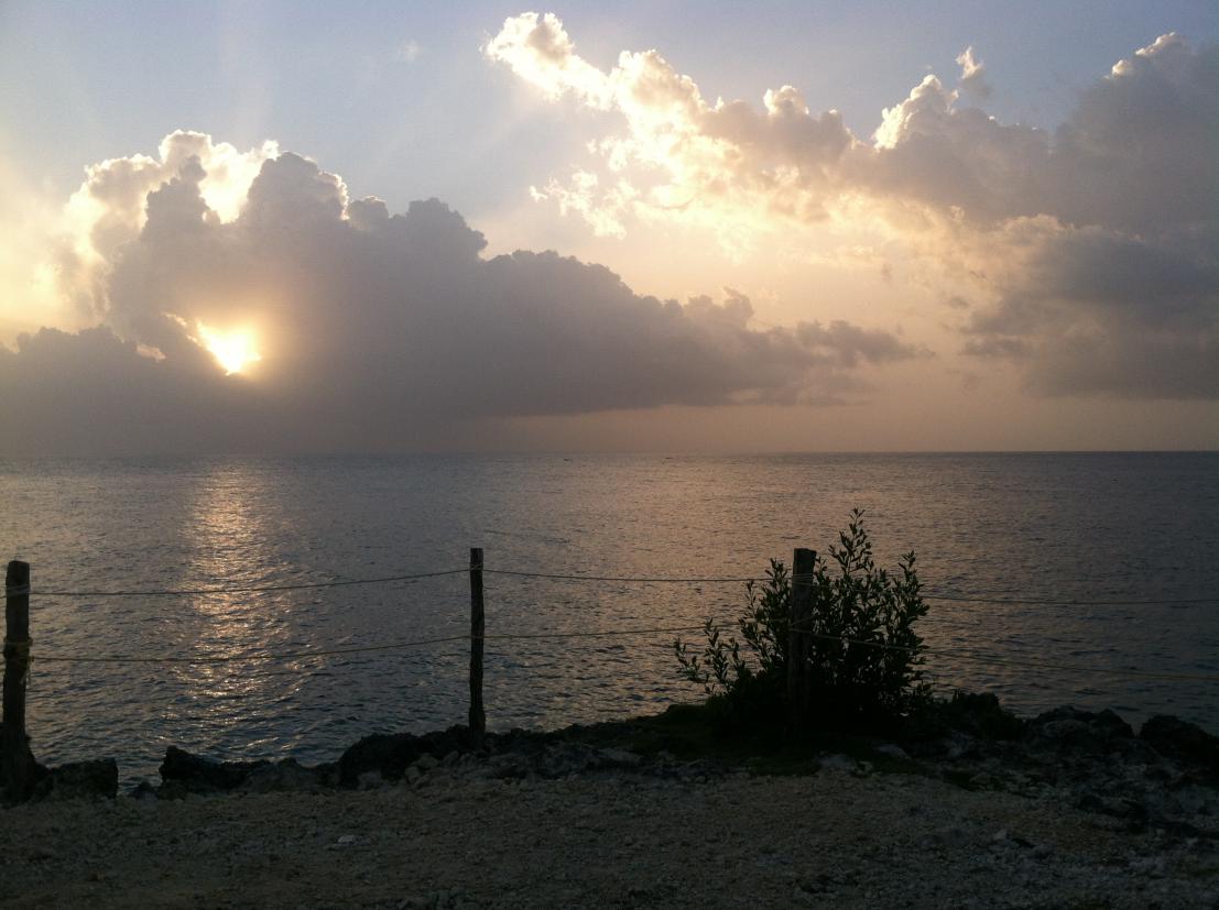 Name:  IMG_0780.jpg
Views: 351
Size:  95.6 KB
