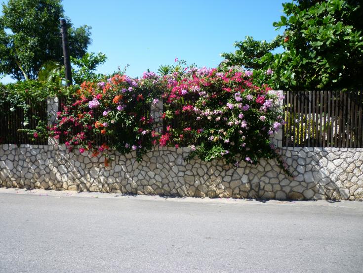 Name:  P1000100.jpg
Views: 521
Size:  98.1 KB