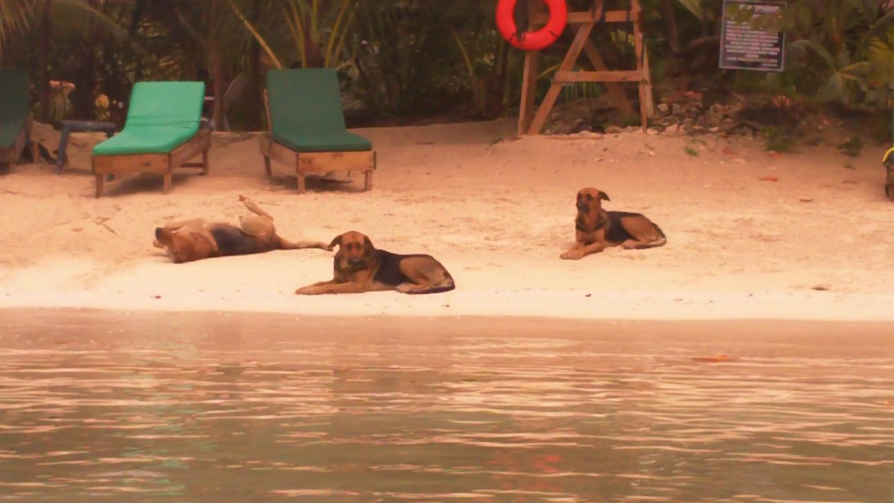 Name:  100_0085.jpg
Views: 491
Size:  90.2 KB